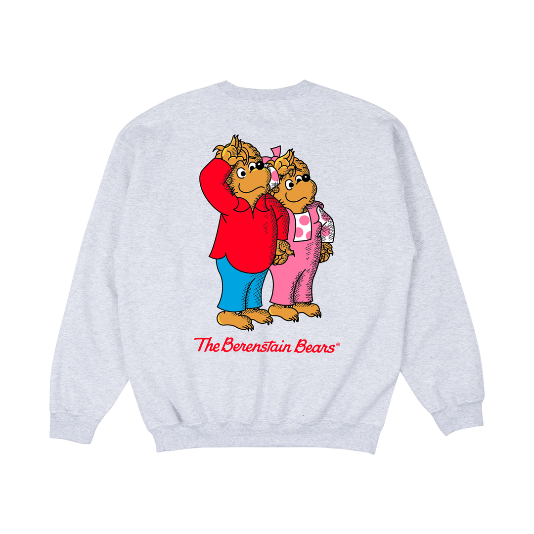 Berenstain Bears Retrokid Brother Bear Sister Bear Mama Bear Papa Bear