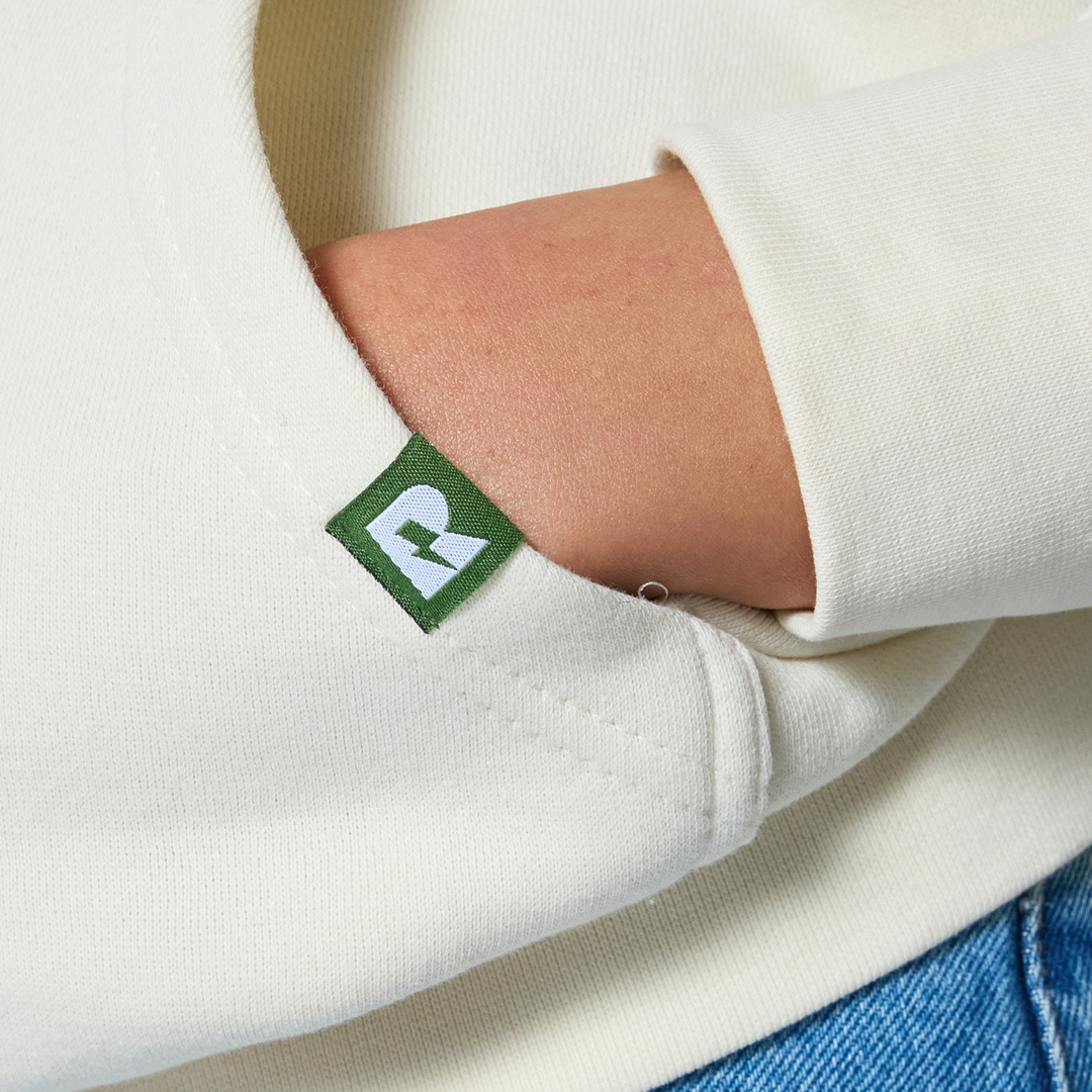 The Land Before Time Great Valley Hoodie - Bone