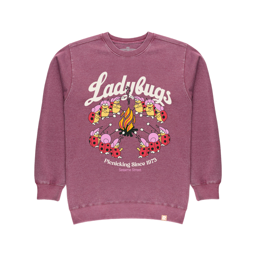 Sesame Street Ladybugs Picnic Crewneck - Berry