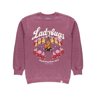 Sesame Street Ladybugs Picnic Crewneck - Berry