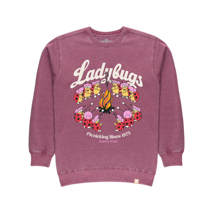 Sesame Street Ladybugs Picnic Crewneck - Berry