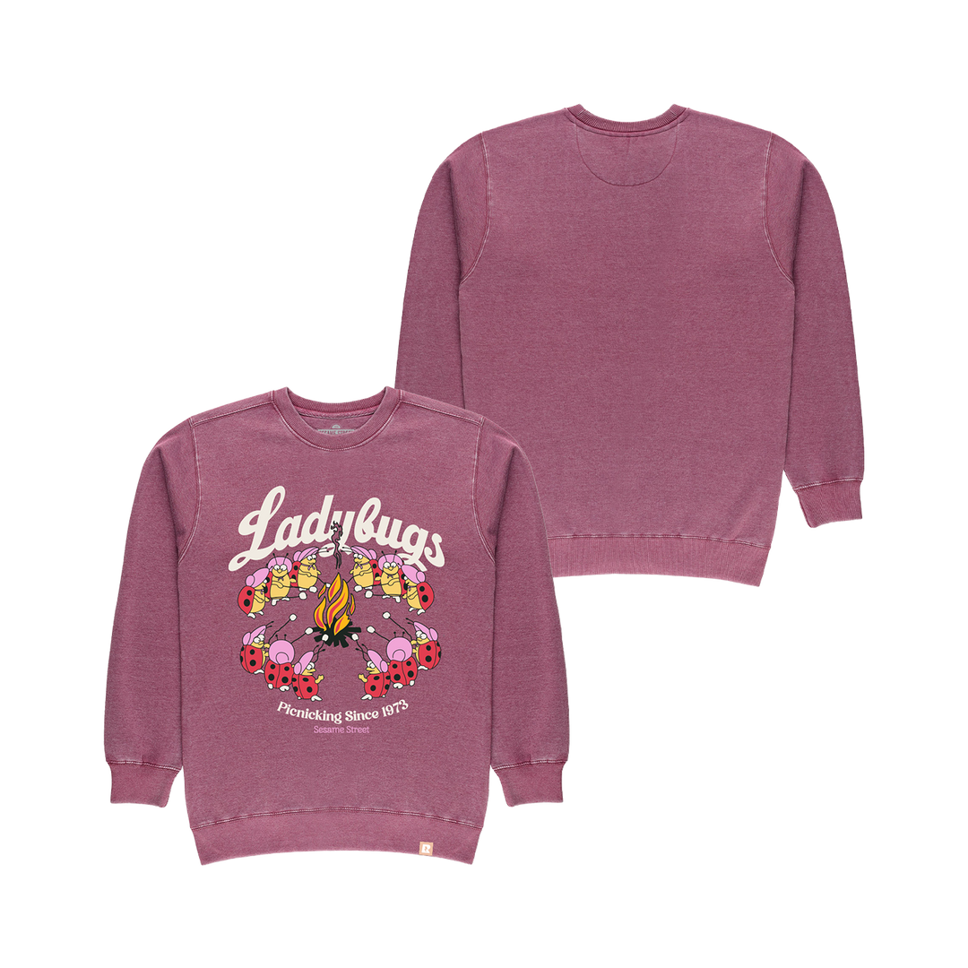 Sesame Street Ladybugs Picnic Crewneck - Berry