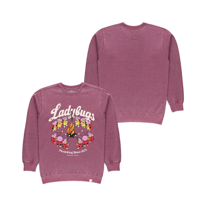 Sesame Street Ladybugs Picnic Crewneck - Berry