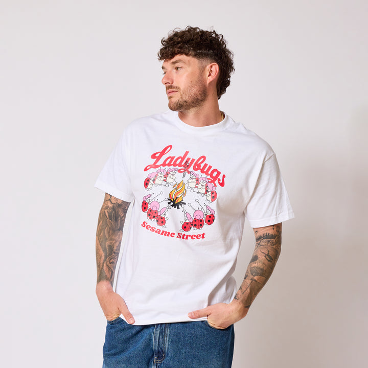 Sesame Street Ladybugs Picnic T-shirt