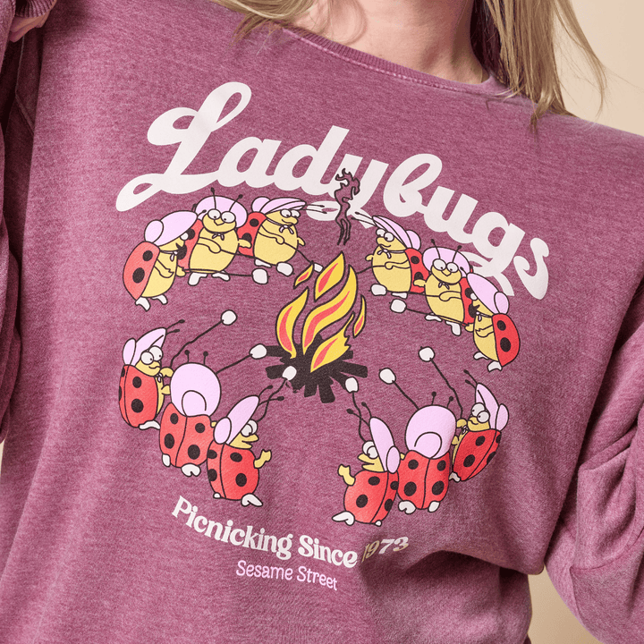 Sesame Street Ladybugs Picnic Crewneck - Berry