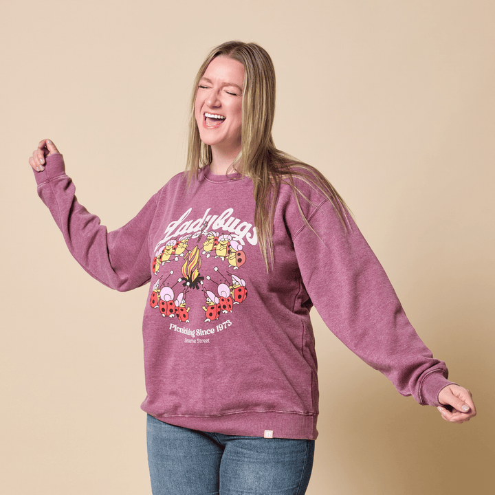 Sesame Street Ladybugs Picnic Crewneck - Berry